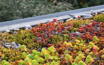 the cost of Nash Mills green roof installation