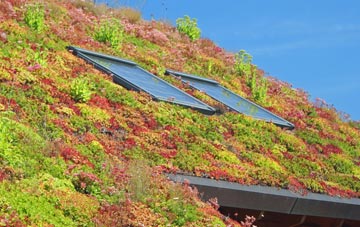 Nash Mills living roof systems