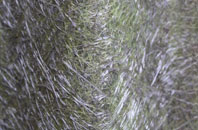 Nash Mills fibreglass roof work